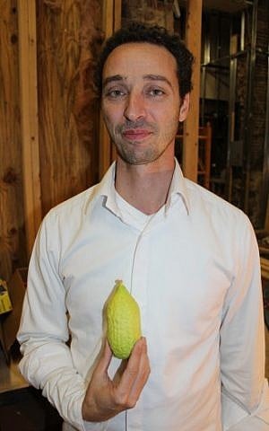 Etrog vendor Tsvi Dahan with one of his high-end products, Oct. 6, 2014. (photo credit: Hillel Kuttler/JTA)