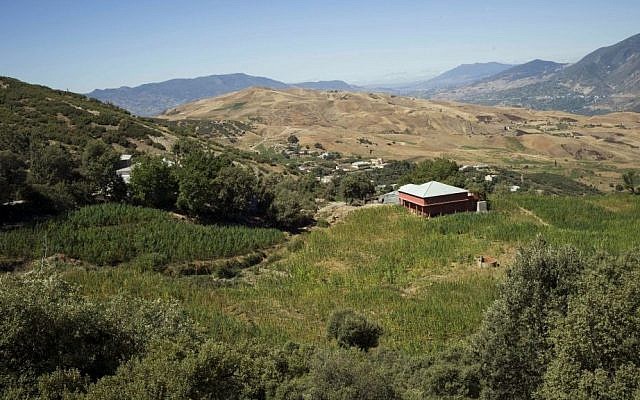 A view of large plots where many farmers have planted cannabis around Chefchaouen in the Rif Mountains, northern Morocco, on September 14, 2014. (photo credit: AP Photo/Abdeljalil Bounhar)