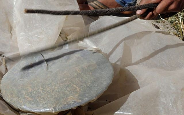 A worker beats dried cannabis plants in a fine mesh sieve to recover the crystalline resin powder when it falls from the plant to extract the hash in the village of Bni Ahmed in the Ketama Abdelghaya valley, northern Morocco, on September 14, 2014. (photo credit: AP Photo/Abdeljalil Bounhar)