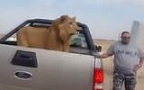 Iraqi militiamen take photos with a lion at a checkpoint near Samarra (Photo credit: Youtube screen capture)