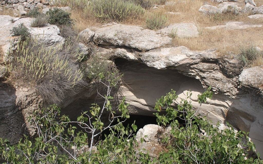 The Burgin jackdaw pit (Photo credit: Shmuel Bar-Am)