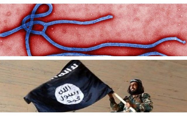 Top photo: Electron micrograph of an Ebola virus virion. (Credit: created by CDC microbiologist Cynthia Goldsmith/Wikimedia). Bottom photo: A fighter of the Islamic State group waving their flag from inside a captured government fighter jet following the battle for the Tabqa air base, in Raqqa, Syria. (photo credit: AP/Raqqa Media Center of the Islamic State group) Top photo: Electron micrograph of an Ebola virus virion. (Credit: created by CDC microbiologist Cynthia Goldsmith/Wikimedia). Bottom photo: A fighter of the Islamic State group waving their flag from inside a captured government fighter jet following the battle for the Tabqa air base, in Raqqa, Syria. (photo credit: AP/Raqqa Media Center of the Islamic State group)