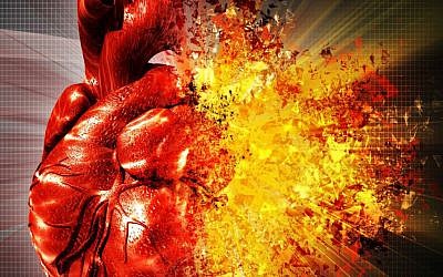 The only treatment for advanced heart disease today is a transplant (photo credit: Heart image)