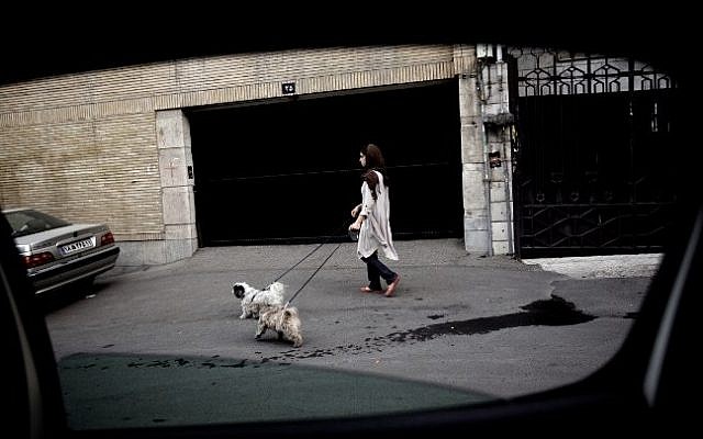 A file picture taken from inside a car on June 24, 2013, shows an Iranian woman walking her dogs in the rich Elahiyeh district in northern Tehran. (Photo credit: AFP/BEHROUZ MEHRI) A file picture taken from inside a car on June 24, 2013, shows an Iranian woman walking her dogs in the rich Elahiyeh district in northern Tehran. (Photo credit: AFP/BEHROUZ MEHRI)