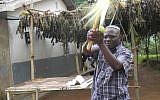Rabbi Gershom Simozu shakes the lulav in front of the community sukkah  at the Nabugoya Hill Synagogue in Uganda. (Melanie Lidman/Times of Israel)