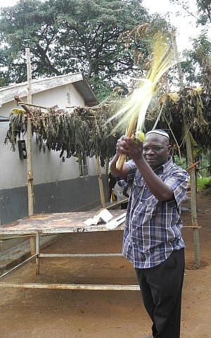 Rabbi Gershom shakes the lulav in front of the community sukkah  at the Nabugoya Hill Synagogue in Uganda. (Melanie Lidman/Times of Israel)