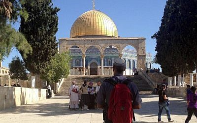 A Jewish visitor to the Temple Mount looks at the Dome of the Rock, 2013. (photo credit: Sliman Khader/Flash90, File)