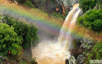 The Golan Heights' many springs, rivers and waterfalls make this region a winter wonderland (photo by Noam Chen)