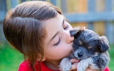 Most preferences are thought to be conditioned by experience. (photo credit: Puppy image)