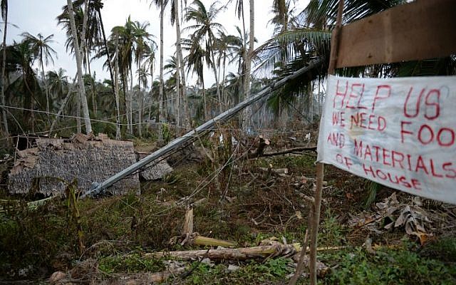 A destroyed farmer's house lying next to coconut trees destroyed at the height of Typhoon Hagupit at a village in Taft town, Eastern Samar province, central Philippines, seen on December 10, 2014. (photo credit: AFP/TED ALJIBE)
