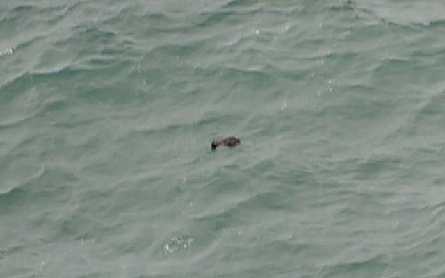 This aerial view taken from an Indonesian search and rescue aircraft over the Java Sea shows floating debris spotted in the same area as other items being investigated by Indonesian authorities as possible objects from missing AirAsia flight QZ8501 on December 30, 2014. (photo credit: AFP/Bay ISMOYO)