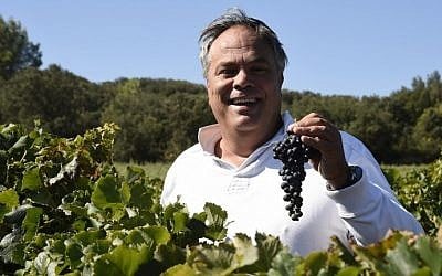 Sartene holds up a cluster of grapes in the vineyard of the Parnassah domain. September 22, 2014. (Photo credit: AFP/PASCAL GUYOT)