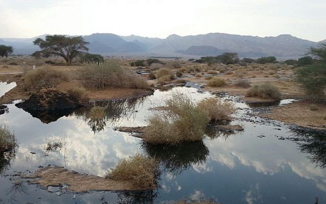 A view of the oil leak in the Arava area of southern Israel, on December 9, 2014 (Environmental Protection Ministry) A view of the oil leak in the Arava area of southern Israel, on December 9, 2014 (Environmental Protection Ministry)