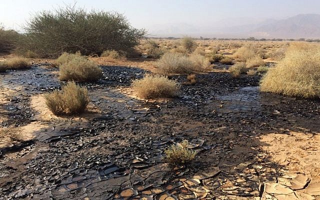 View of the oil spill in the Arava area of southern Israel, on December 10, 2014 (photo credit: Shahar Ischarov/Israeli Environmental Protection Ministry) View of the oil spill in the Arava area of southern Israel, on December 10, 2014 (photo credit: Shahar Ischarov/Israeli Environmental Protection Ministry)