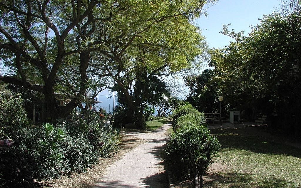 Ein Gedi Botanical Gardens (photo credit: Shmuel Bar-Am)