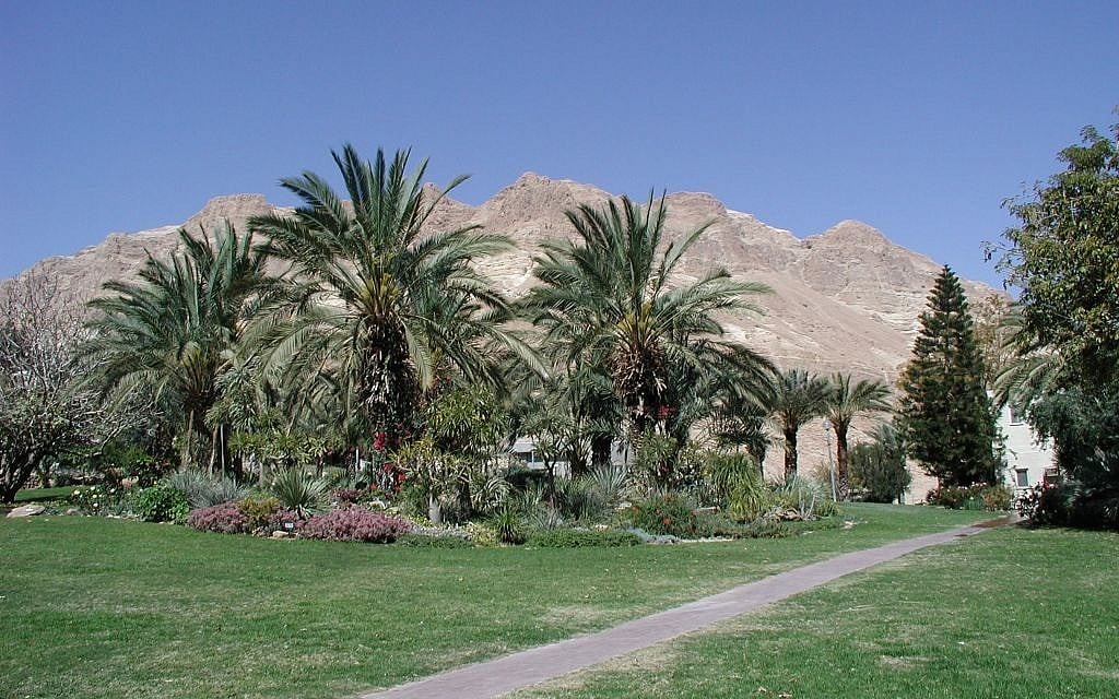 The Kibbutz Ein Gedi Botanical Gardens (photo credit: Shmuel Bar-Am)