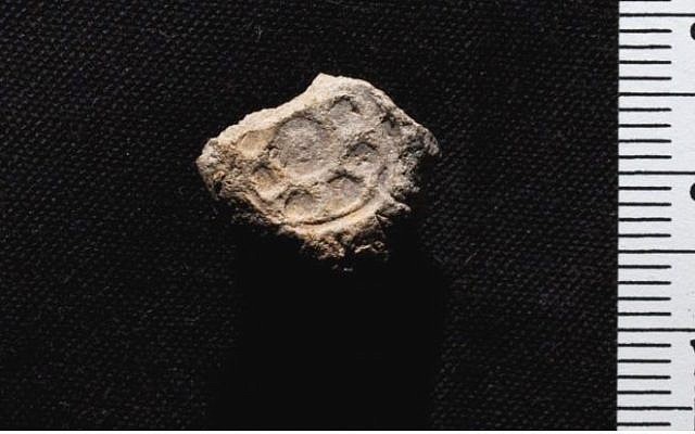 A Mississippi State University team found this bulla, or ancient clay seal, on a dig site in southern Israel last summer. It offers evidence of government activity in the 10th century B.C., a time when many scholars said a kingdom could not exist in the region. (Photo credit: University of Wisconsin/Nathaniel Greene) A Mississippi State University team found this bulla, or ancient clay seal, on a dig site in southern Israel last summer. It offers evidence of government activity in the 10th century B.C., a time when many scholars said a kingdom could not exist in the region. (Photo credit: University of Wisconsin/Nathaniel Greene)