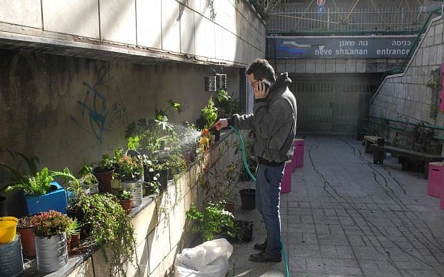 Yoav Shafranek waters the community garden built in an abandoned pedestrian passageway that used to lead to a lower floor of the Central Bus Station. Onya Collective organized concerts in the garden during the exhibition. (photo credit: Melanie Lidman/Times of Israel)