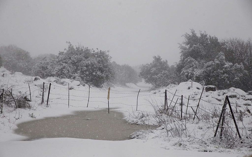 A snowscape in the Golan Heights, northern Israel, Wednesday, January 7, 2015 (photo credit: Basal Awidat/FLASH90)