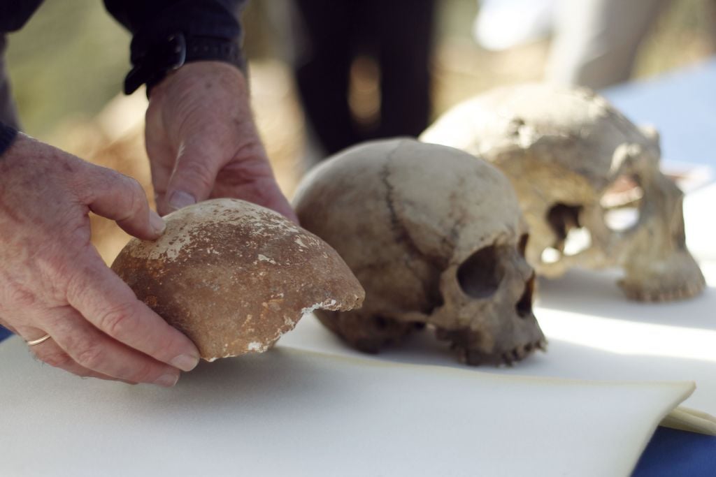 A skull fragment found in the Manot Cave (left) alongside modern human (center) and Neanderthal skulls (photo credit: Judah Ari Gross/Times of Israel staff) A skull fragment found in the Manot Cave (left) alongside modern human (center) and Neanderthal skulls (photo credit: Judah Ari Gross/Times of Israel staff)