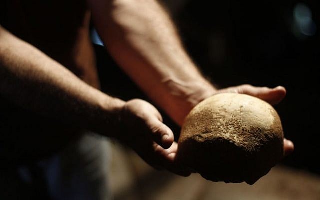 A skull fragment found at the Manot Cave in northern Israel belonging to the oldest known anatomically modern human who migrated out of Africa (Judah Ari Gross/Times of Israel staff)