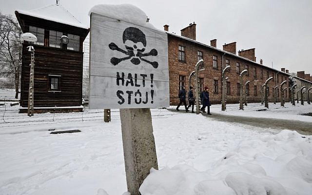 Visitors at the Auschwitz Nazi death camp in Oswiecim, Poland, January 26, 2015 (AP/Alik Keplicz)