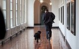 President Barack Obama runs down the East Colonnade with family dog, Bo, on the dog's initial visit to the White House, March 15, 2009. (photo credit: White House/Pete Souza)