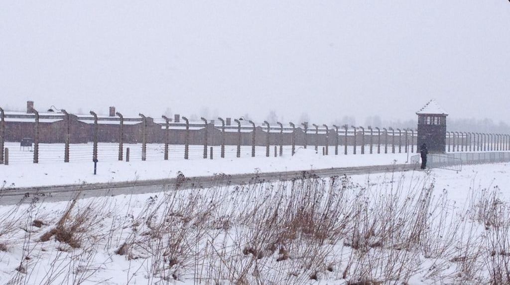 Seemingly endless rows of barracks on a tour with Israeli Holocaust survivors at Auschwitz-Birkenau on January 28, 2014. (Amanda Borschel-Dan/The Times of Israel)