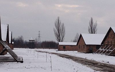 Seemingly endless rows of barracks on a tour with Israeli Holocaust survivors at Auschwitz-Birkenau on January 28, 2014. (Amanda Borschel-Dan/The Times of Israel)