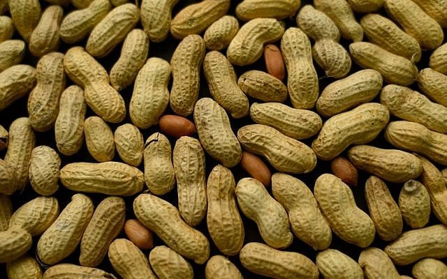 An arrangement of peanuts in New York. For years, parents of babies who seem likely to develop a peanut allergy have gone to extremes to keep them away from peanut-based foods. Now, a major study suggests that is exactly the wrong thing to do. (photo credit: AP Photo/Patrick Sison)