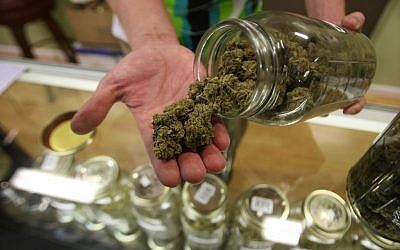 A bud tender at Private Organic Therapy, or POT, a nonprofit cooperative medical marijuana dispensary in Los Angeles, displays various types of marijuana available to patients, Oct. 19, 2009. (David McNew/Getty Images/JTA)