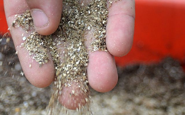 Groundwork BioAg's mycorrhizal fungi mixed in with ordinary soil. (photo credit: Courtesy)