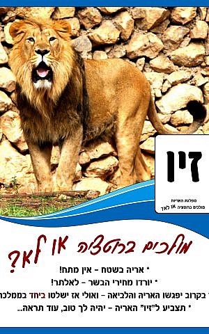 A 'campaign'  poster for the lion in the Jerusalem Biblical Zoo' s ' Most Popular Animal'  elections, held on March 17, 2015. (photo credit: Jerusalem Biblical Zoo)