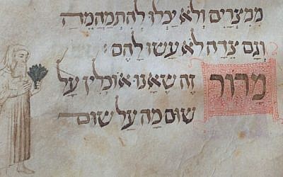 A page from the 14th century Wolff Haggadah, at the National Library, showing a Medieval Jew holding bitter herbs (photo credit: Ilan Ben Zion/Times of Israel staff)
