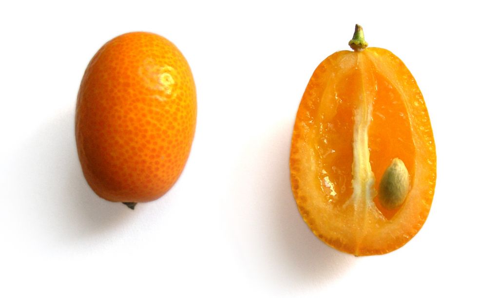 Try some kumquats in your Purim cocktail (Courtesy Wiki Commons)