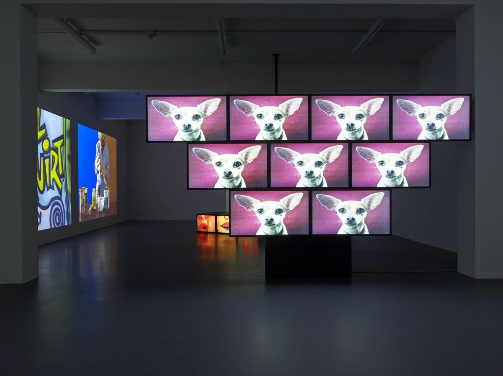 Sturtevant, Elastic Tango, 2010, at xx, Tel Aviv Museum of Art (photo credit: Simon Vogel)