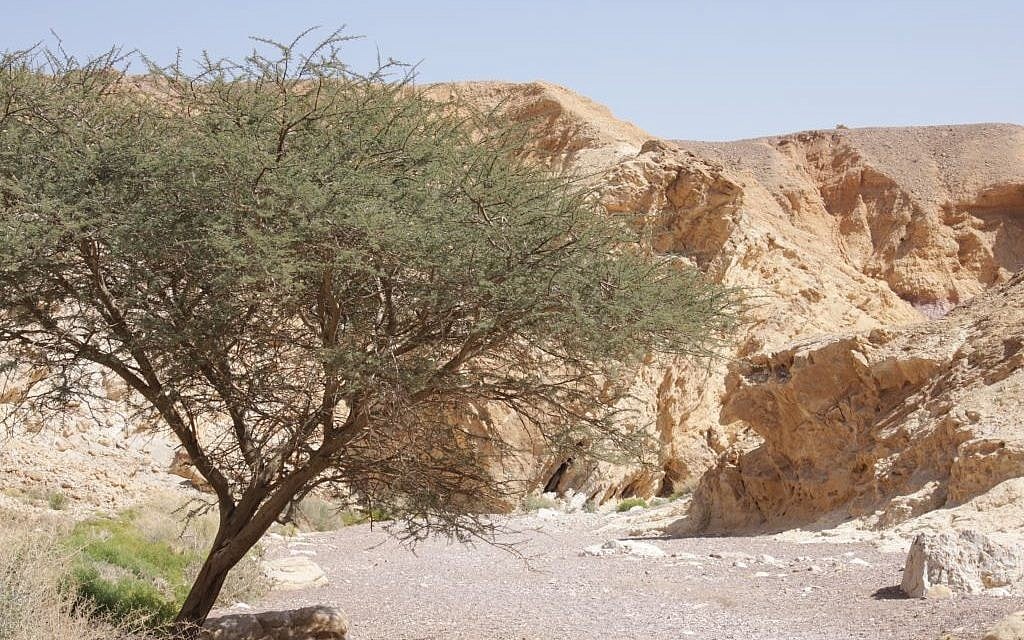 The entrance to Eilat's Red Canyon (photo credit: Shmuel Bar-Am)