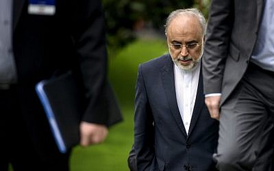 The Head of the Iranian Atomic Energy Organization Ali Akbar Salehi walks through a garden at the Beau Rivage Palace Hotel during an extended round of talks April 2, 2015 in Lausanne, Switzerland (AFP PHOTO/POOL / BRENDAN SMIALOWSKI) The Head of the Iranian Atomic Energy Organization Ali Akbar Salehi walks through a garden at the Beau Rivage Palace Hotel during an extended round of talks April 2, 2015 in Lausanne, Switzerland (AFP PHOTO/POOL / BRENDAN SMIALOWSKI)