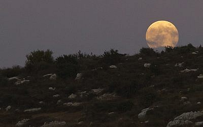 A full moon over the city of Modiin, Israel, August 10, 2014. (Photo credit: Dror Garti/Flash90)