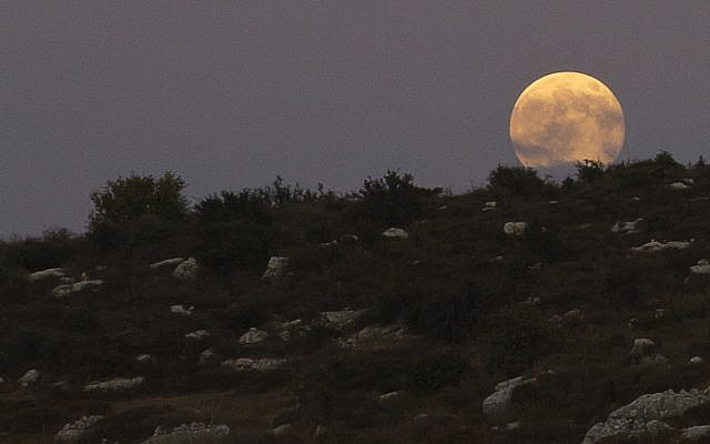 A full moon over the city of Modiin, Israel, August 10, 2014. (Photo credit: Dror Garti/Flash90)