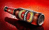 Illustrative image of Goldstar Israeli beer (Courtesy Tempo)