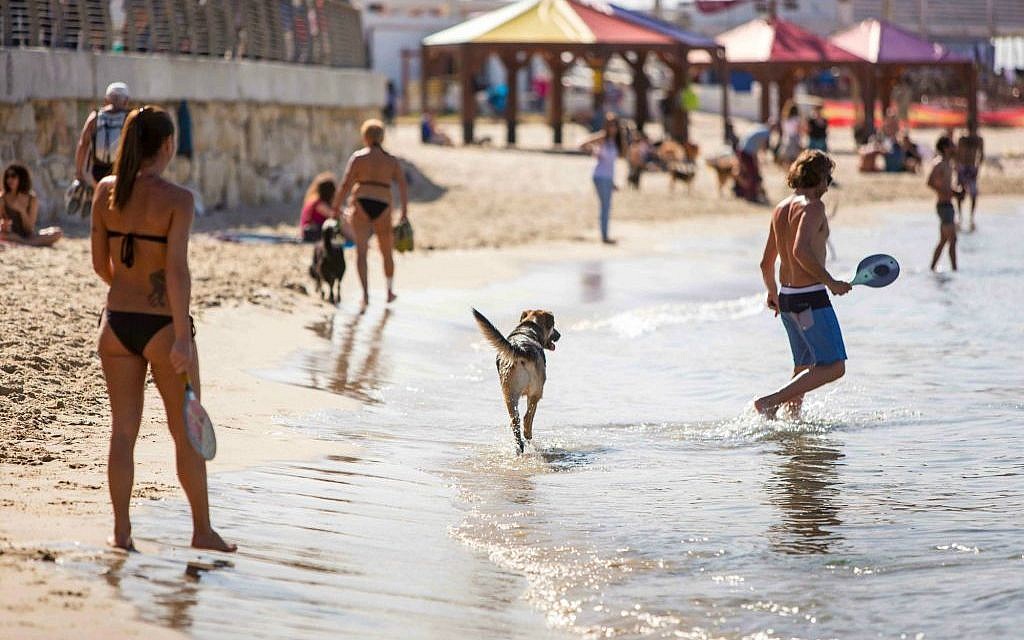Passover is a fine time to head to the Tel Aviv beaches (Photo credit: Kfir Bolotin) Passover is a fine time to head to the Tel Aviv beaches (Photo credit: Kfir Bolotin)