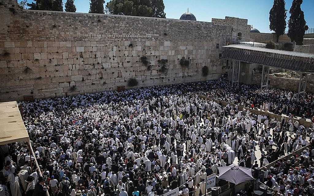 Jewish worshipers cover themselves with prayer shawls as they pray in front of the Western Wall in Jerusalem's Old City during the priestly blessing which commemorates the Israelites' hasty departure from Egypt. April 6, 2015. (Hadas Parush/Flash90)