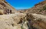 Israelis hike in the Nahal Arugot valley near Ein Gedi region during the Passover holiday, April 5, 2015. (Photo credit: Edi Israel/FLASH90)