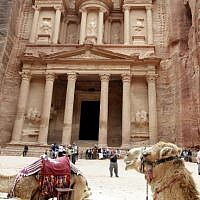 Camels used for transporting visitors wait for tourists at the ancient city of Petra in Jordan on March 25, 2015. (Photo credit: AFP / KHALIL MAZRAAWI) Camels used for transporting visitors wait for tourists at the ancient city of Petra in Jordan on March 25, 2015. (Photo credit: AFP / KHALIL MAZRAAWI)