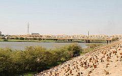 A view of the Sudanese city of Omdurman (photo credit: Wikimedia Commons/Bertramz CC BY 3.0)