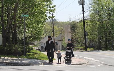 Chaim Friedman moved with his wife and two children to Bloomingburg from Williamsburg, Brooklyn. (JTA/Uriel Heilman)