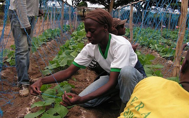 A NaanDanJain irrigation project (Photo credit: Courtesy)