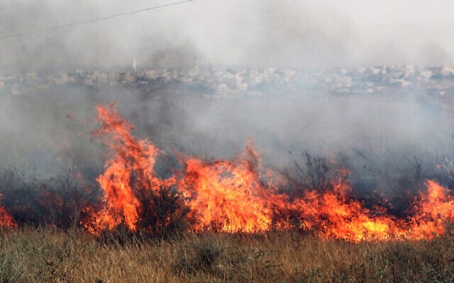 Illustrative photo of a fire in southern Israel (Talucho/Flash90)