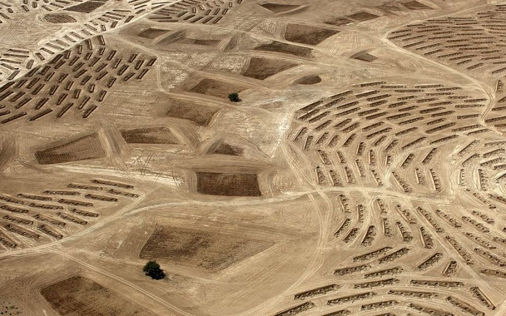 Sheikh, Fazal. From the Desert Bloom
series, 10/9/2011. Location Information: Latitude: 31°21'7"N / Longitude: 34°46'27"E. Copyright Fazal Sheikh.